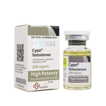 Cypo-Testosterone 250 HP Beligas